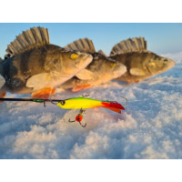  Lucky John Nordic 4 + , 4 ,  29 