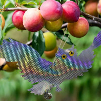 ������������ ��� ����, ���������������, ����� � �������������, Greengo