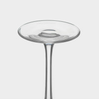    Chef&sommelier Cabernet Ballon, 470 , 