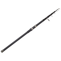   Salmo Blaster Tele Carp,  1-100 .,  3 .