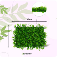  , 60 40 , 8- , Greengo