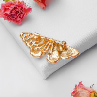 ����� �������� �����, ������� � ������