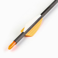  , ,  "Centershot Flash 400"  Shield 2" 76 