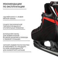   Winter Star Red Line, . 43