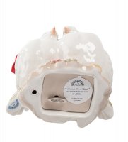 Cms-15/40 .   (pavone)