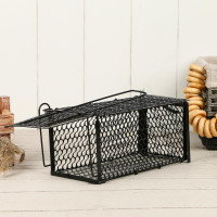 ����������, 24 X 12 X 12 ��, �������������, Greengo