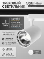   Luazon Lighting Tsl-016, 30 , 2400 , 2700-6500,   , , 3  