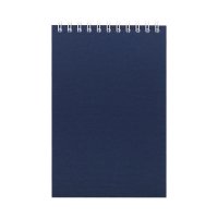  Nettuno Mini  , 