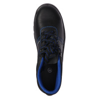    Prosafe Basic 12,  ,  45