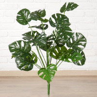 ���� ������������� ���������, H=70 ��