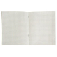  48    Calligrata  ,  , 