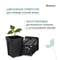   , 250 , 6.7 6.7 8 , , , Greengo