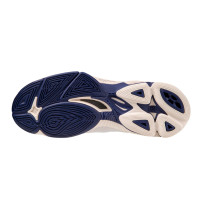    Mizuno Wave Lightning Z7 V1ga2200 43,  10,5 Us