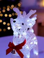    , 40 , 50 Led, 220v, 