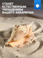 ������� ������������, 7-11 ��