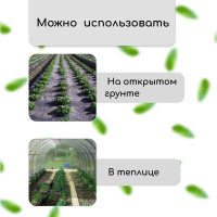  , 10 1.6 ,  60 / ,   -,   , , Greengo, 