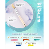   ,    6 (  6 ;   14 ),  , Calligrata