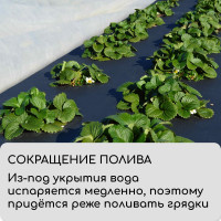  , 5 0.8 ,  80 / ,  -, , Greengo,  30%