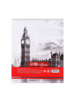  , 48   , Calligrata, -.  ,  