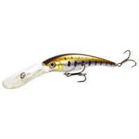  . Lj Original Deep Shiner, F, 11 ,  A029