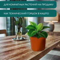   , 3.5 , D=20 , H=16 ,  , , Greengo
