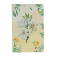 ��������, L17 W5 H26 ��