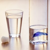    Dolphin 1.2
