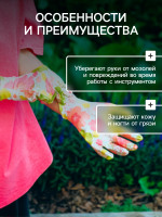  , ,   ,  8,  , , Greengo