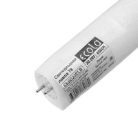   Ecola, G13, T8, 20 , 6500 , 220 ,  , 121328 