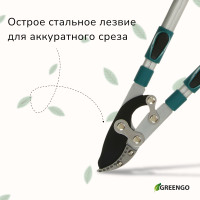  , 27.5 40.5 (70.5 103 ), ,   , , Greengo