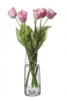 ���� ���������� St-2