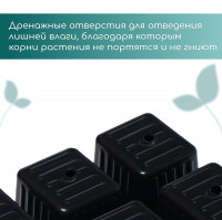 ������� ��� �������, 6 ����� �� 120 ��, �������, ������, 18 13 6 ��, ����� 10 ��., Greengo