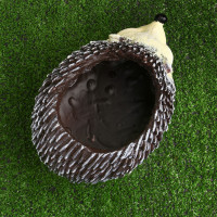 �������� ����� ��� ������ �����, 25 ��, ���������