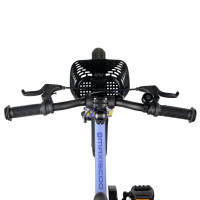  16 Maxiscoo Air Pro,   