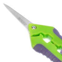  , 160 ,    ,  , Palisad