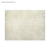      +  Paclan Color Expert, 20 .