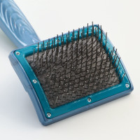 ٸ��� - �������� ��� ���������, ��������� 84 58 ��, �����