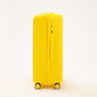   100  (l),   ,  , 4 ,  