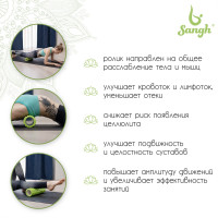 ����� ��������� Sangh, 29�9 ��, ���� ������