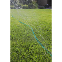    , , D = 12  (1/2), L = 5 , Greengo