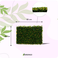  , 60   40 ,  , Greengo