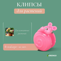    ,  10 ., , Greengo