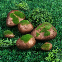  ,  , ,  6 ., , Greengo