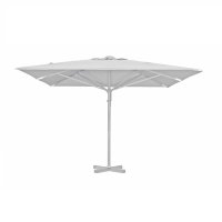   Brafab Paris White,  