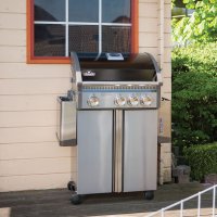   Napoleon Triumph-410