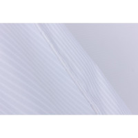    Bacchetta Verga, 240  200 ,  