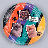 ������� ����������� �������� "� ���� ��������",����, 18 ��