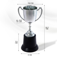  036,  , ,  , 22,7 X 11,8 X 9 .