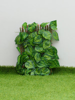  , 120 35 ,  , Greengo