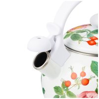 ������ Agness ������������� �� ��������, 2,2�, ������������ ���